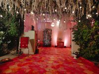 review-Devam Green by Primerose