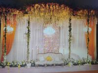 review-Devam Green by Primerose