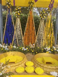 review-Tivoli Royal Palace