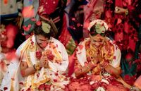 review-Arc Lamp Weddings