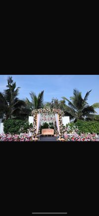 review-Decor by Aditya