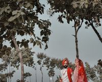 review-Vrik Films