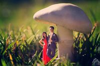 review-Wedding Moments