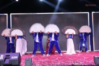 review-The Perfect Entertainer