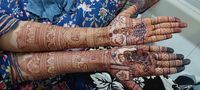 review-Kanchan Bhairat Mehandi Artist