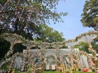 review-Chandan Lawns