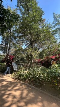 review-CN Films Photography