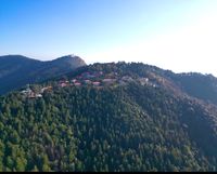 review-Tarika Hotels and Resorts