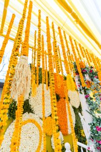review-Weddingz Mantra