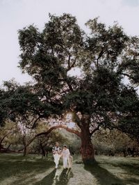 review-Castaways Weddings & Hospitality