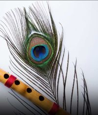 review-Fiestro Events