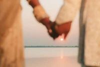 review-High on Love Films