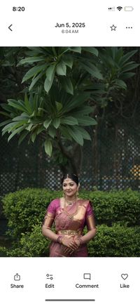 review-Chayasutra