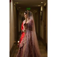 review-Symphony of Shutters