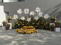review-Wiwaha the Wedding Venue Bangalore