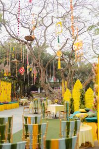 review-House of Curators
