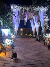 review-Daffodils Events