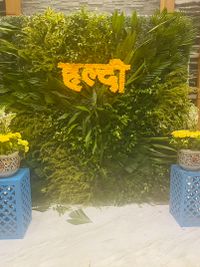 review-Jagrati Ananta Express