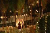 review-Petals Event