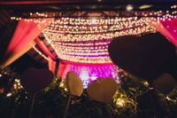 review-Petals Event