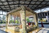 review-Petals Event