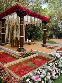 review-Panigrahana Weddings - Decor