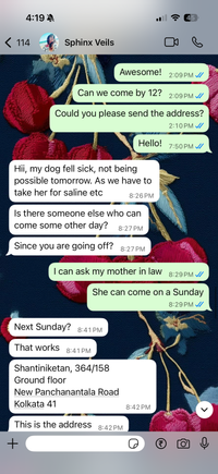 review-Bridal Veils by Sphinx