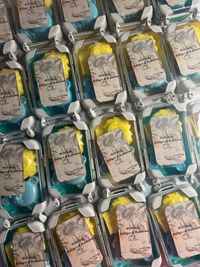 review-Bloom and Pastel