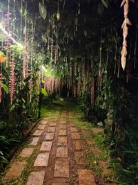 review-Eden Farms