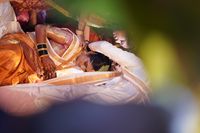 review-The Aryavart Escape, Nhavi