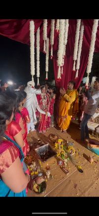 review-Pandit Shree Hari Krishna Acharya