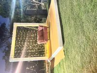 review-Kumbhal Palace Hotel and Resort