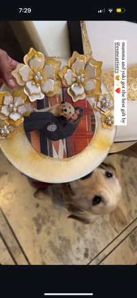 review-Esme Artistry