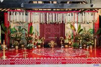 review-Shine Flora Official