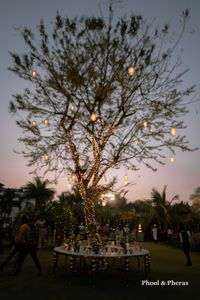 review-Phool and Pheras