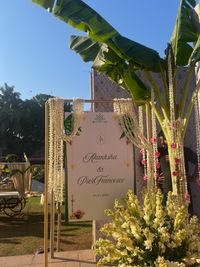 review-Mint Events