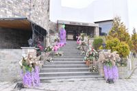 review-Suri Destination Wedding Planner