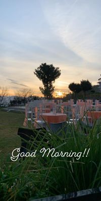 review-Suri Destination Wedding Planner
