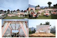 review-Suri Destination Wedding Planner