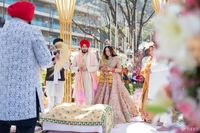 review-Whistling Teel