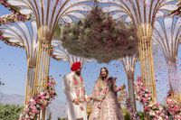 review-Whistling Teel