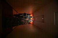 review-Rattys Photography