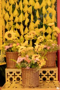 review-Gala Event and Studios