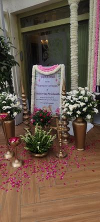 review-The Glitttering Arc