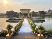 review-The Glitttering Arc