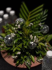 review-Sceptrum Events