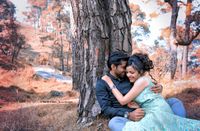 review-The NS Studio