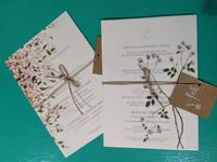 review-Pale Pink Studio