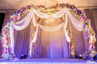 review-Two Thinking Birds