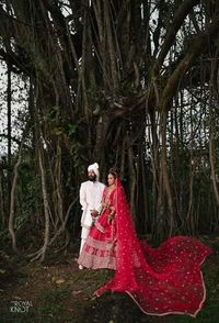 review-The Royal Knot